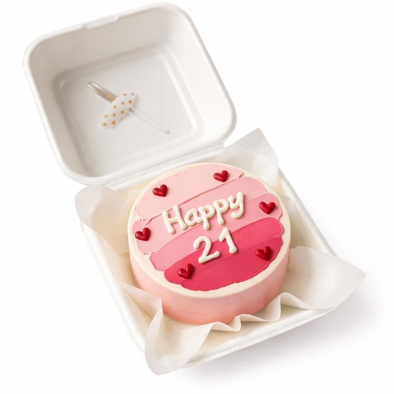 Bento Cake